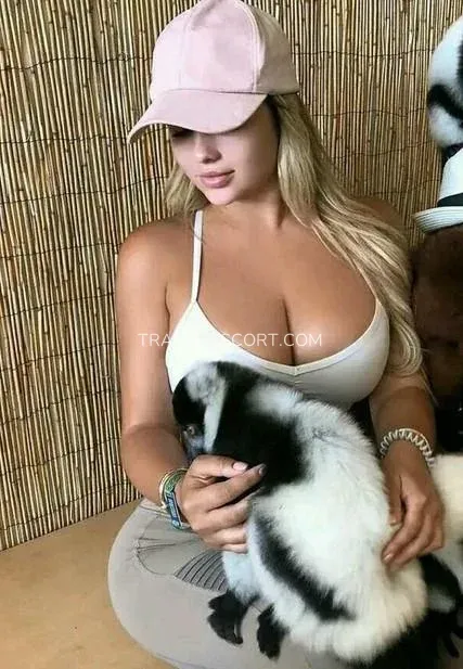 Tralee escort Elsa — 1